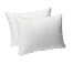 Cushion & Cushion Covers